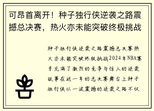 可昂首离开！种子独行侠逆袭之路震撼总决赛，热火亦未能突破终极挑战