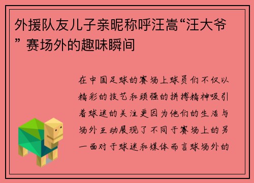 外援队友儿子亲昵称呼汪嵩“汪大爷” 赛场外的趣味瞬间